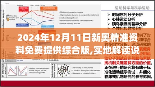 2024新奥资料免费精准资料|精选资料解释大全